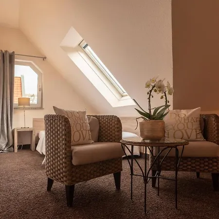 Princess No3 Self Check-in Bei Stuttgart 普洛兴根